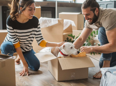 Louer avec un animal : vivre sa location sans souci
